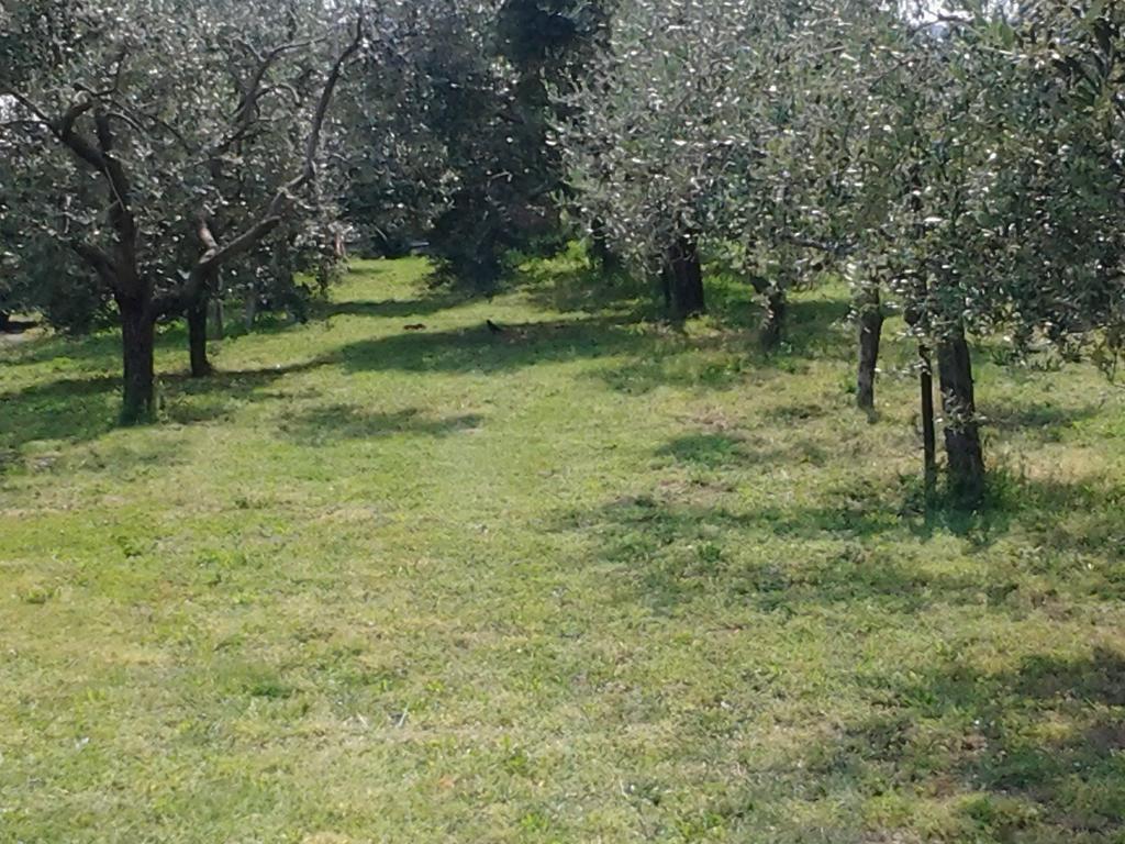 Agriturismo Corte Galvani Negrar Exteriér fotografie